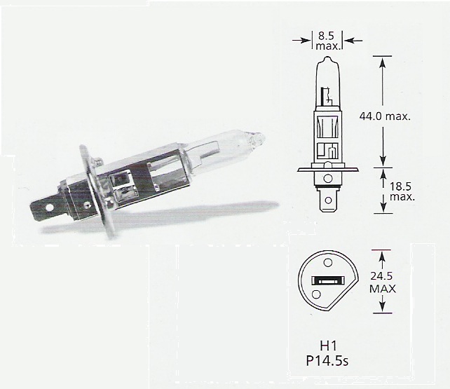 6 volt 55w H1 Halogen